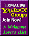Join the Texas List for Malamute Lovers!